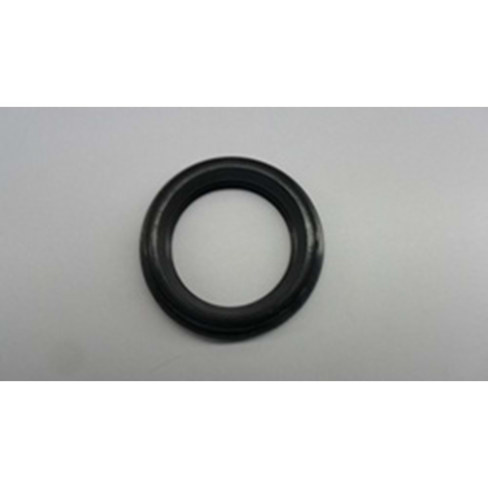 VESTENHAUSE KEÇESİ