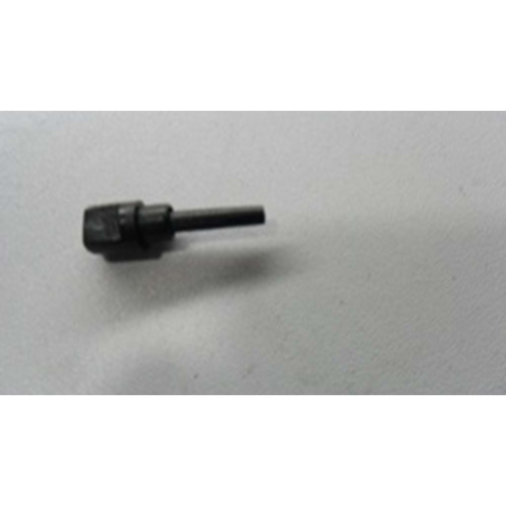 ARKA FİSKİYE MEMESİ