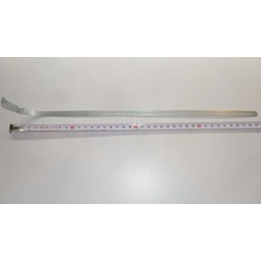 AKS KÖRÜĞÜ KELEPÇESİ