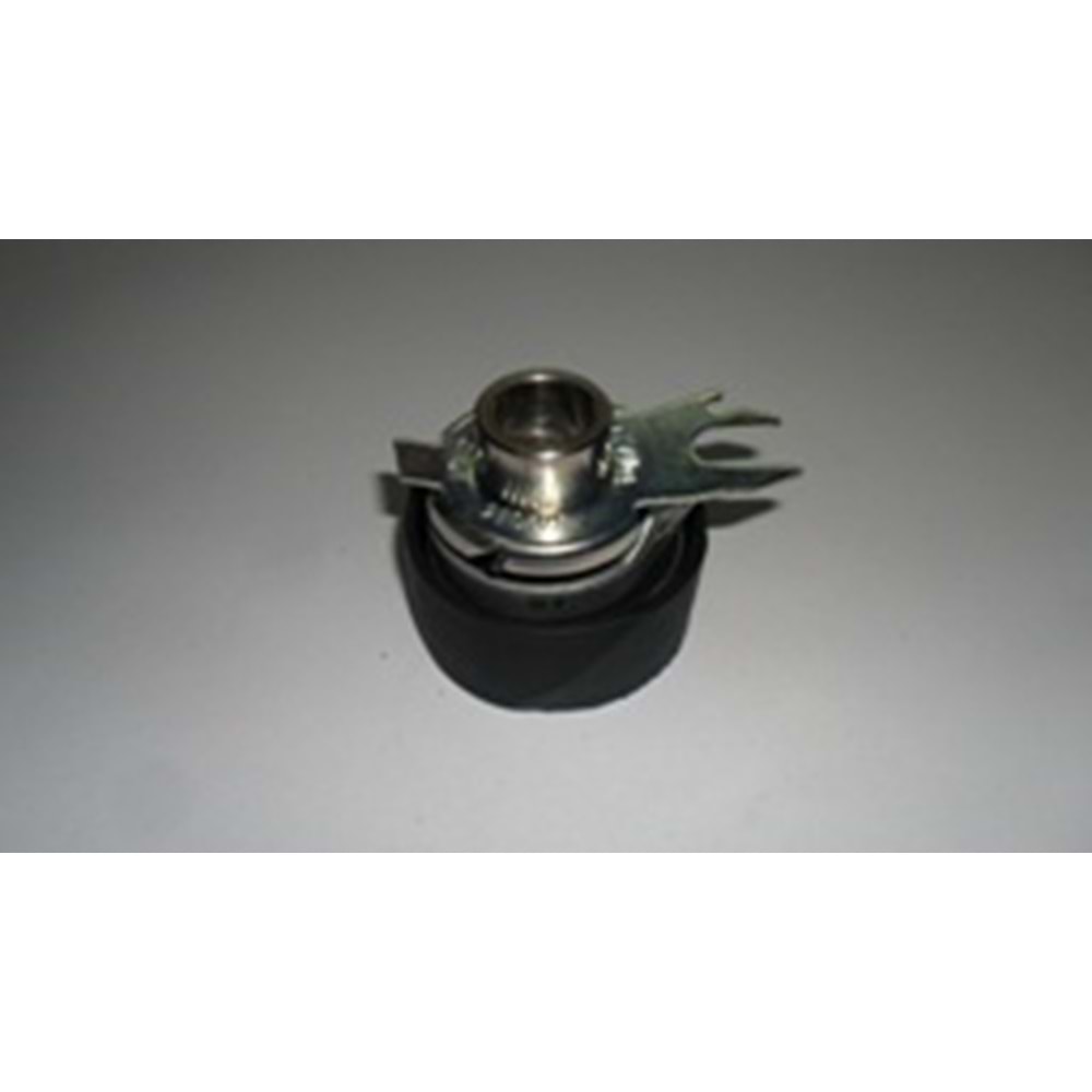 TRİGER GERGİ RULMANI