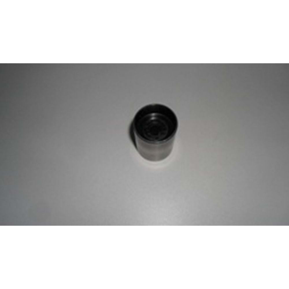 TRİGER YARDIMCI RULMANI