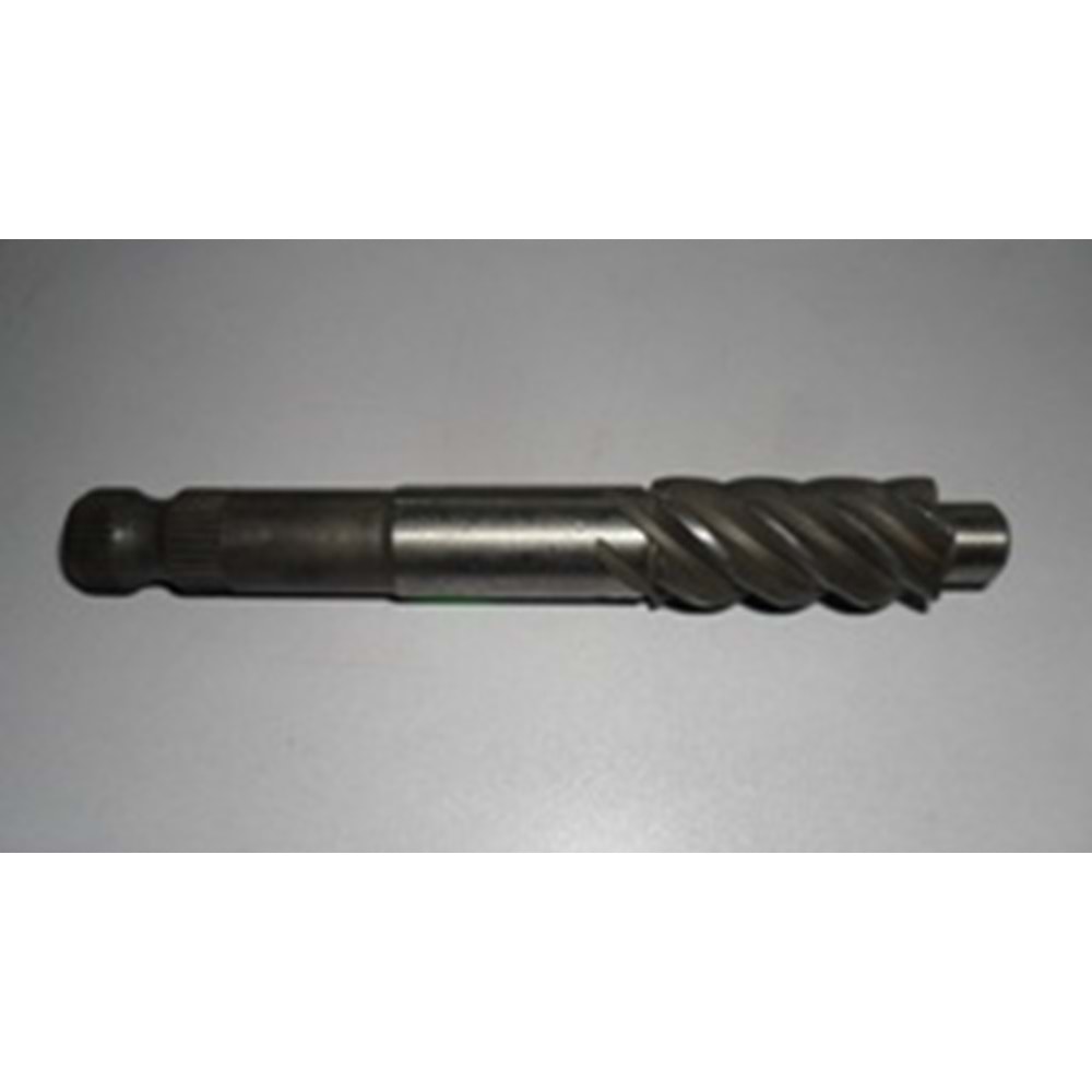 DİREKSİYON SONSUZ DİŞLİ