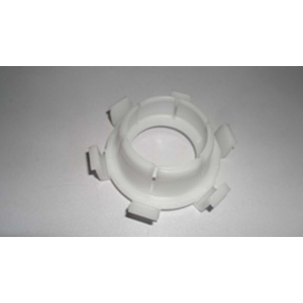 VİTES AŞIĞI GÖBEĞİ