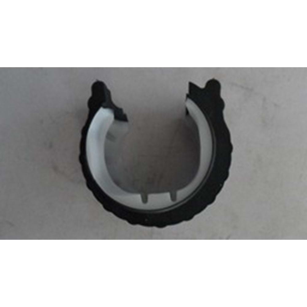 VİTES AŞIĞI GÖBEĞİ