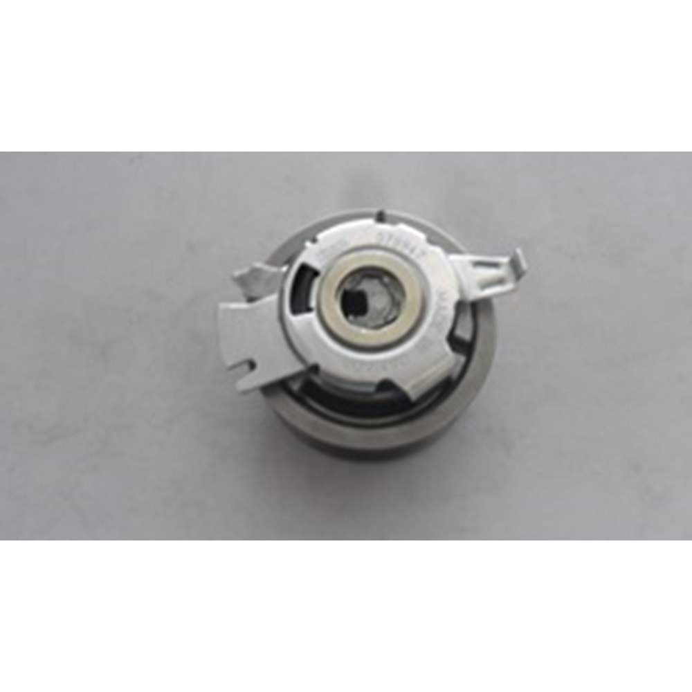 TRİGER GERGİ RULMANI