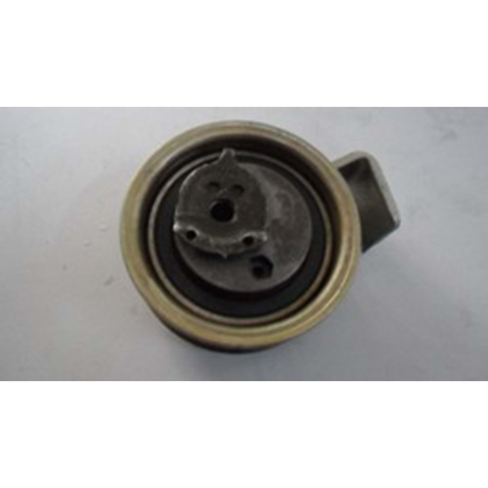 TRİGER GERGİ RULMANI