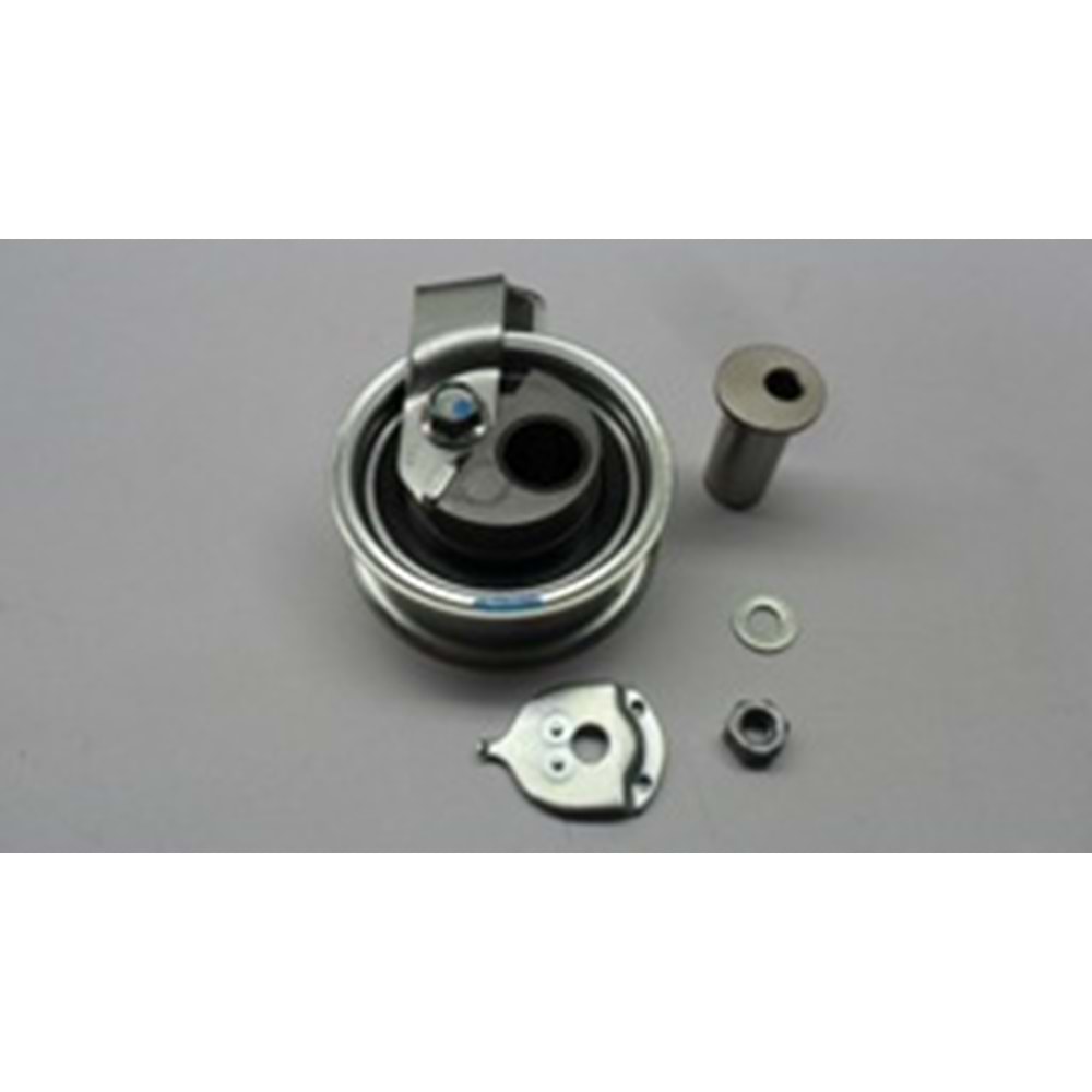 TRİGER GERGİ RULMANI