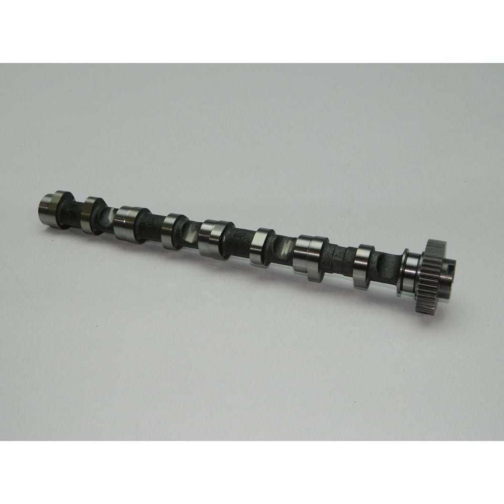 EKSANTRİK MİLİ EMME