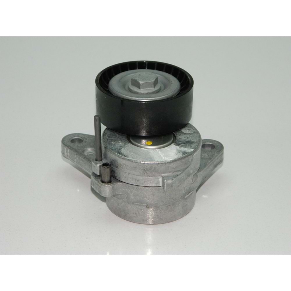 ŞARZ GERGİ MEKANİZMASI