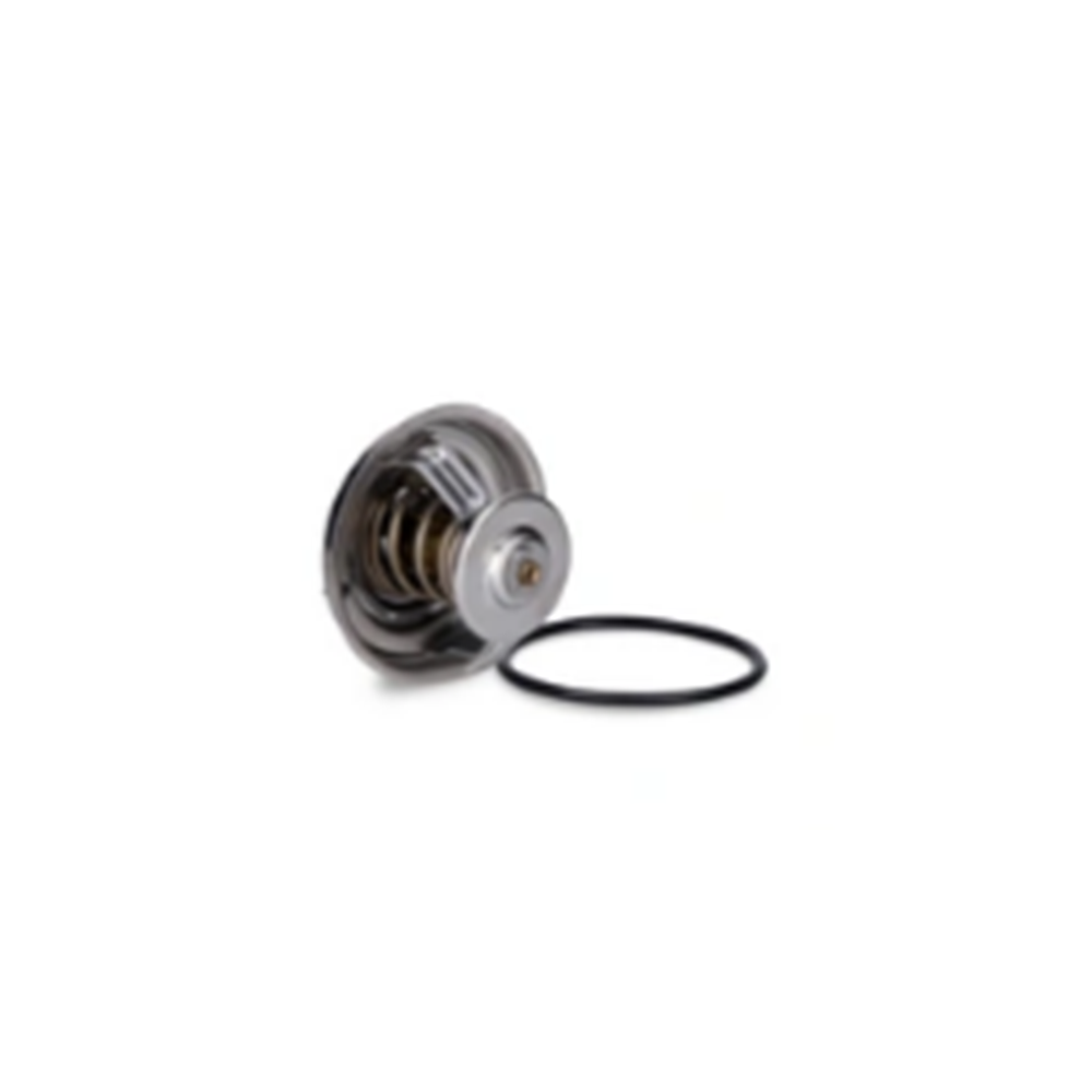 TERMOSTAT A4 01-05/A6 02-05 078121113F