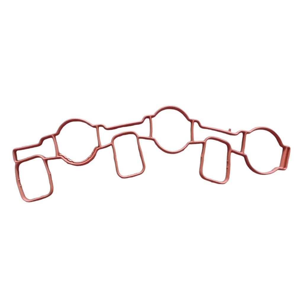 CONTA EMME MANİFOLDU