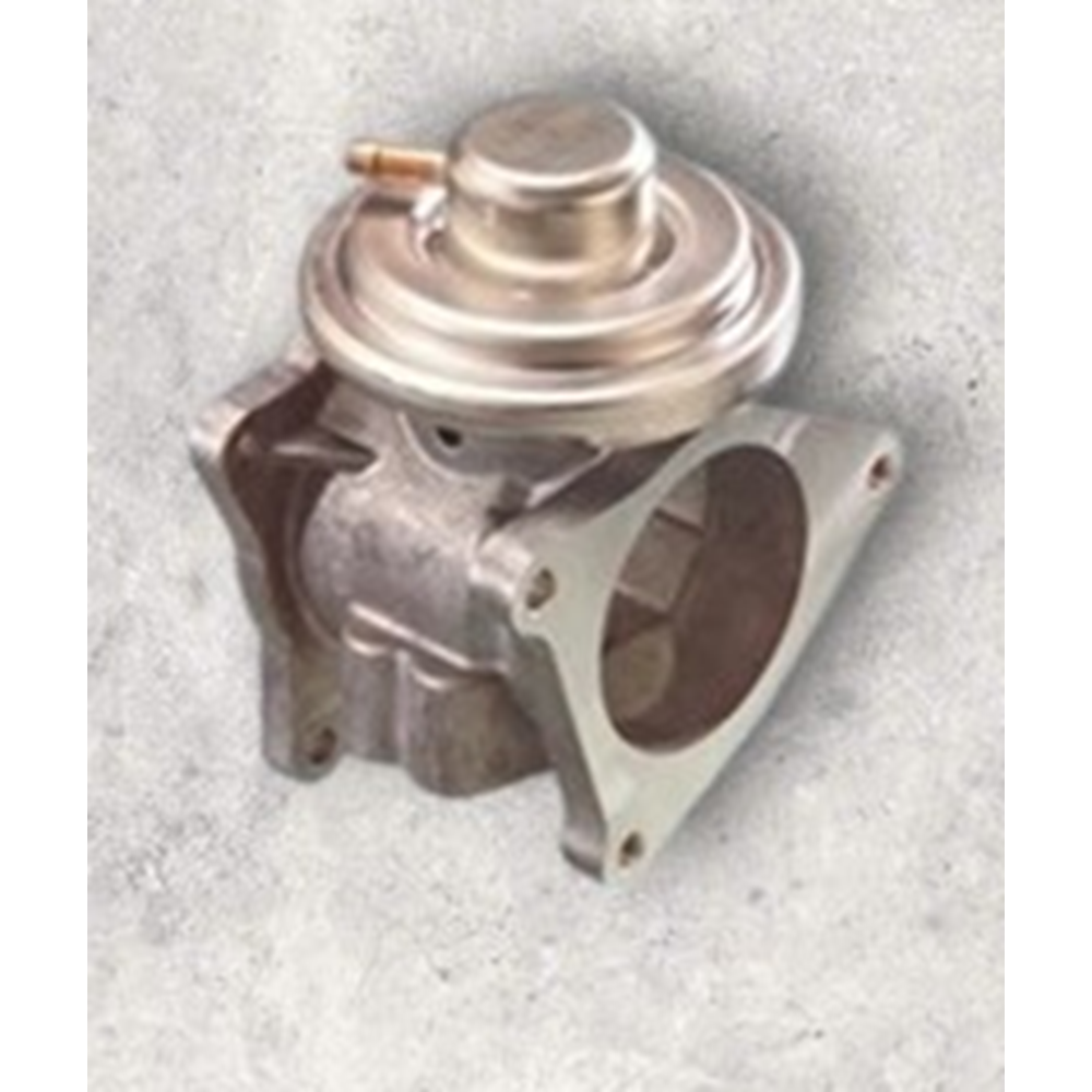 EGR VALFİ
