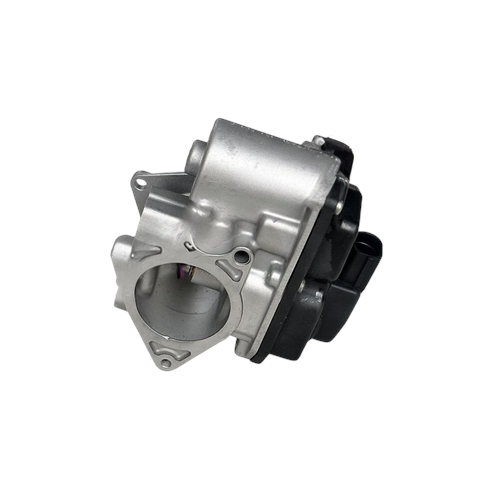 EGR VALFİ