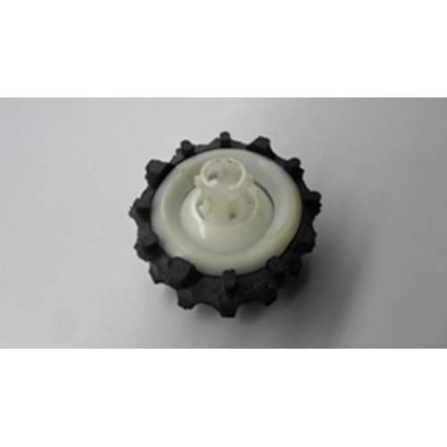 VİTES AŞIĞI GÖBEĞİ