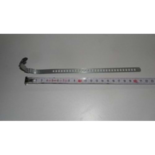 AKS KÖRÜĞÜ KELEPÇESİ