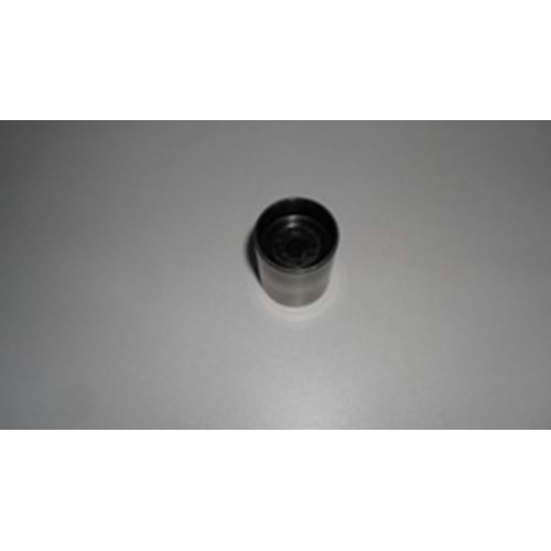 TRİGER YARDIMCI RULMANI