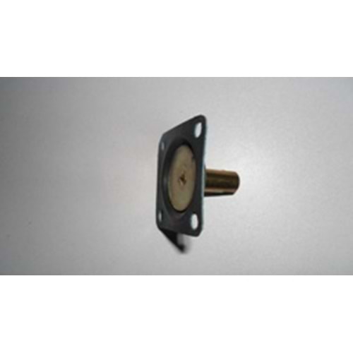 KAPIŞ POMPA DİYAFRAMI