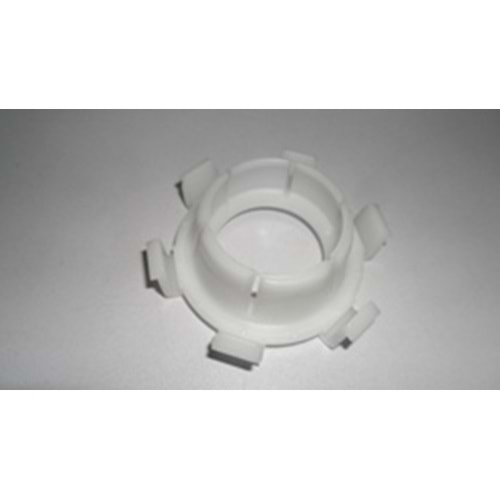 VİTES AŞIĞI GÖBEĞİ