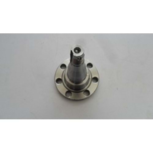 ARKA PORYA TAŞIYICI