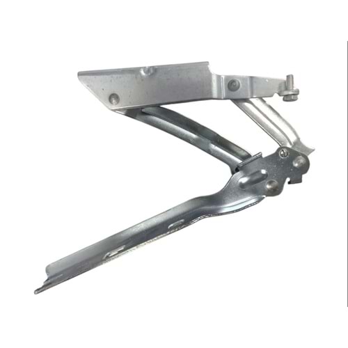 KAPUT MENTEŞESİ SOL