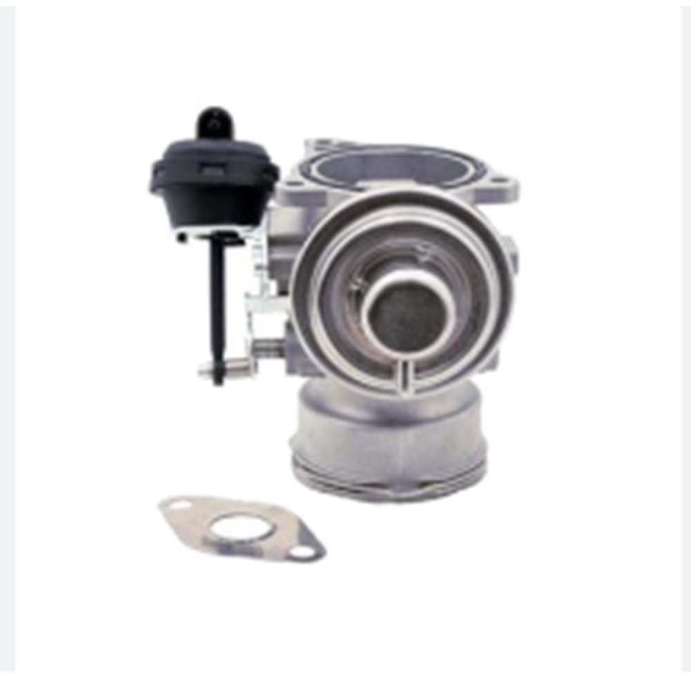 EGR VALFİ