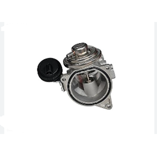 EGR VALFİ