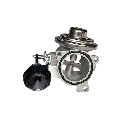 EGR VALFİ