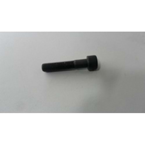 ÜNİVERSAL CİVATA M10*60