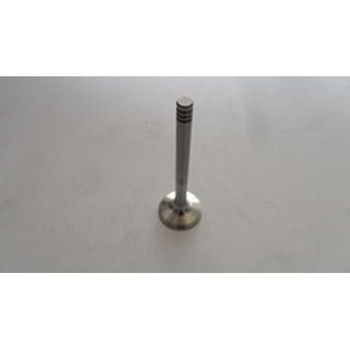 EKSOZ SUBABI T4 96-04 046109611F