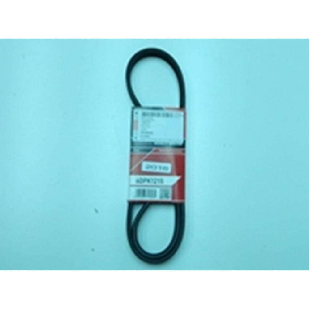 ŞARZ KAYIŞI T5 04-10 038903137S