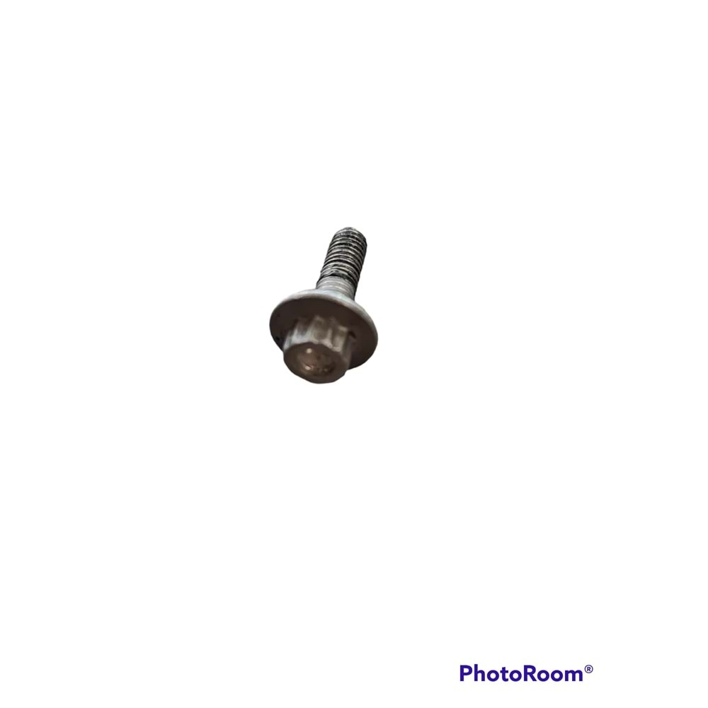 ZİNCİR KAPAK CİVATASI POLO 10-- N10734501
